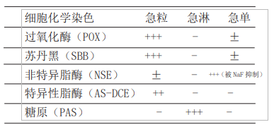 急性白血病的分型、表现与检查
